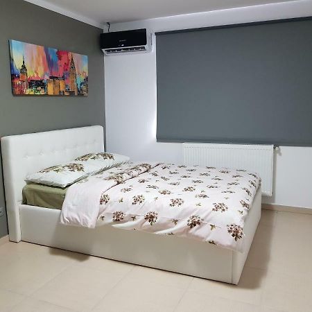 Cozy&Elegant New Studio In بوخارست المظهر الخارجي الصورة